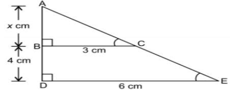 Image result for Class 10th Triangles Case Study Questions