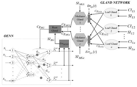 An Approach to Networking a New Type of Artificial Orthogonal Glands ...