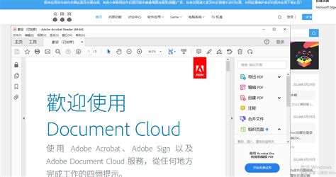 Adobe Reader 32-Bit 的图像结果