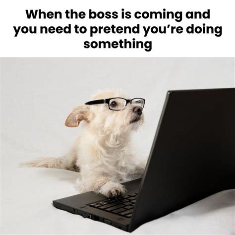 Image result for Edge Programmer Problems