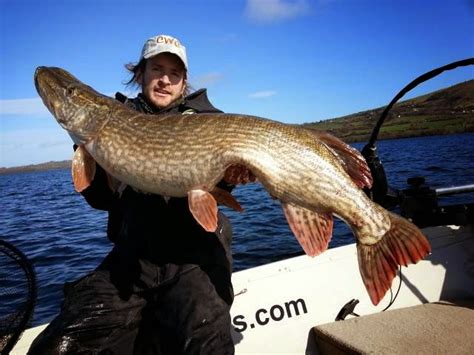 Image result for CWC Fishing