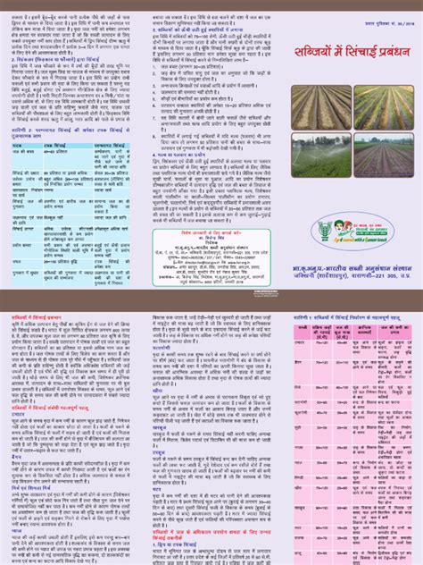 Image result for Types of Irrigation Project PDF