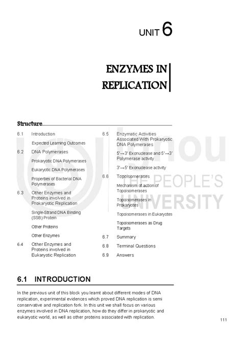 Unit 6: Enzymes in DNA Replication - Prokaryotic vs Eukaryotic Insights ...