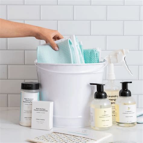 Image result for Secure Cleanomicessentials Com