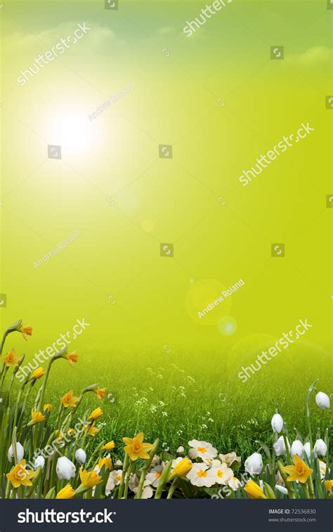 Image result for Spring Java Portrait