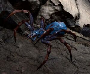 Phase Spiderling - bg3.wiki