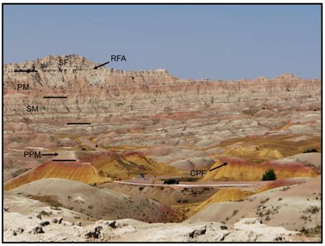 Controls on Soft Tissue and Cellular Preservation in Late Eocene and ...