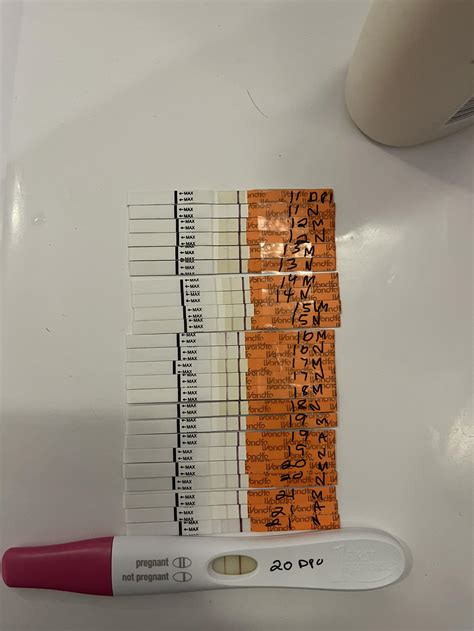 Positive Pregnancy Test Progression