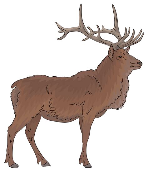 Free Elk Cliparts, Download Free Elk Cliparts png images, Free ClipArts ...