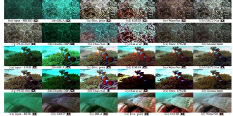 Re-Degradation and Contrastive Learning