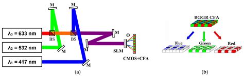 Multiwavelength Absolute Phase Retrieval from Noisy Diffractive ...