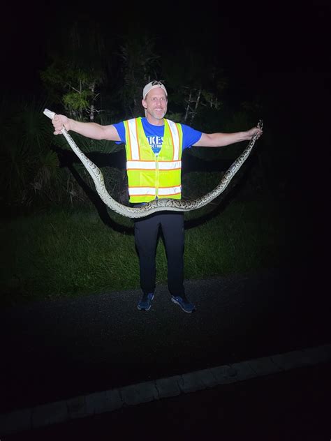 Python Hunting Tips 的图像结果