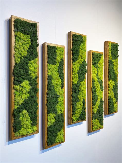 Moss Wall Art: The Ultimate Guide To Transforming Your Space