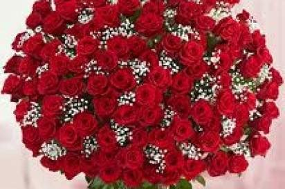 Dew Drops Florists - Florists - Sector 35, Chandigarh - Weddingwire.in