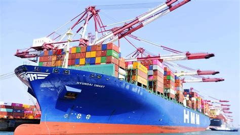 促外贸稳增长，中山港进出口货柜量恢复7成_南方plus_南方+