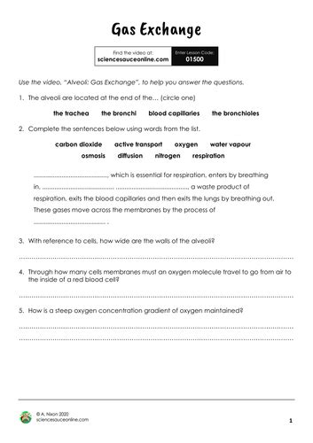 Image result for Free Science Lessons Gas Exchange