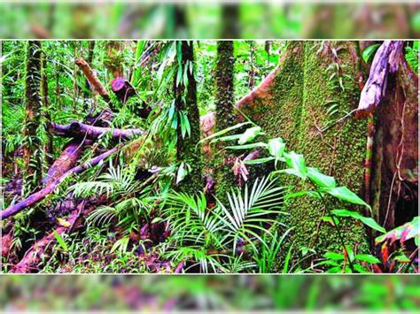 Modelling gaps for designing and delivering inclusive innovations