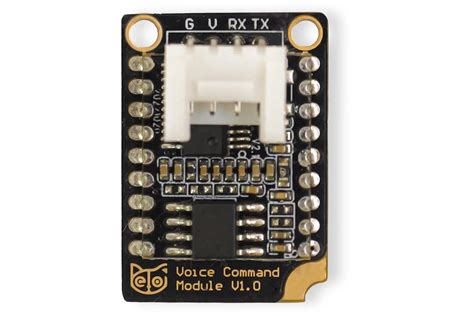 Image result for Voice Command Module