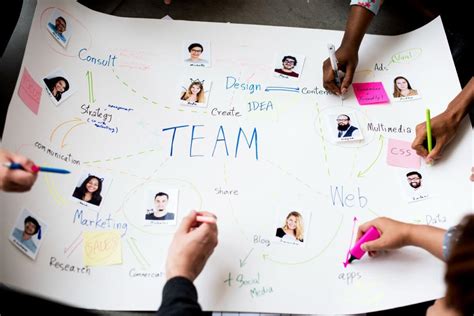 Team Member 的图像结果