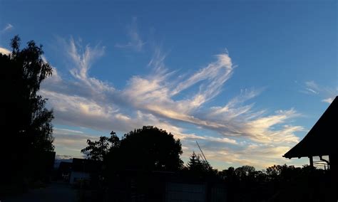 Programmieren MIT Snap 的图像结果