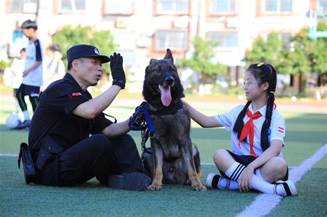 11岁女孩想当警犬训导员 民警送来了“六一”礼物-温岭新闻网