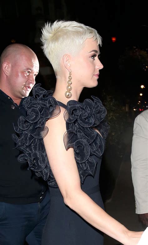 Katy Perry Boobs - Hot Celebs Home