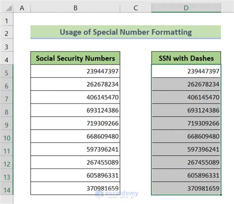 Image result for Java SSN Format