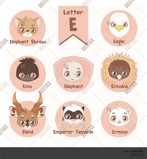 Animals With Letter E : Flashcards Of Animals That Begin With The ...