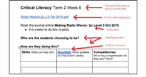 Critical Literacy Examples 的图像结果
