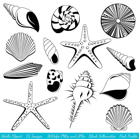 Image result for Sea Shell Line Drawing Blue Print