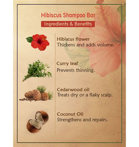 Shampoo Bar | Hibiscus Shampoo Bar - Anti Hairfall & Conditioner – Anc ...