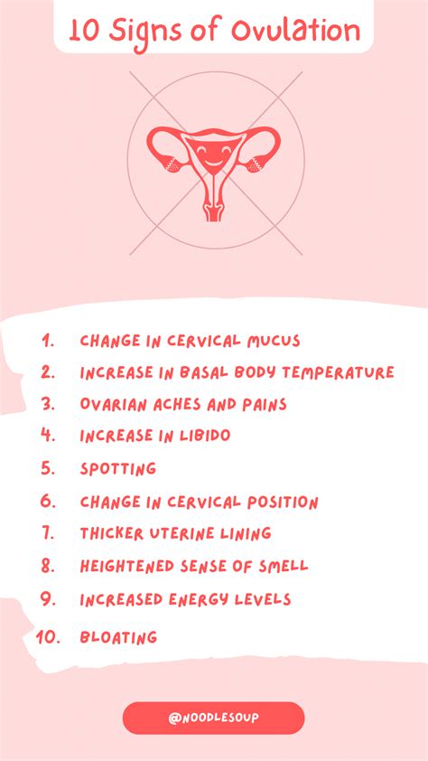 10 Signs of Ovulation - Noodle Soup