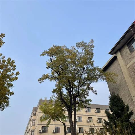 美国历任总统 的图像结果