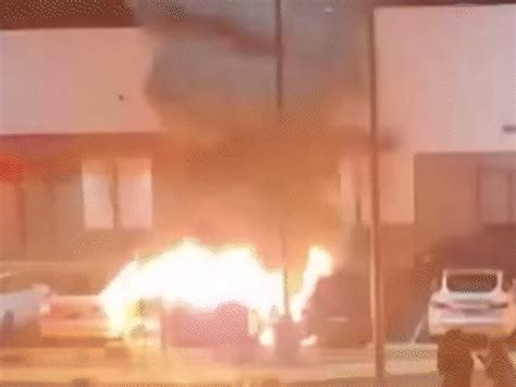 Why are Teslas being burnt across the US & Europe? Elon Musk loses $132 ...