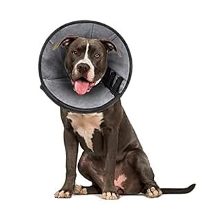Dog Cones Soft Cone for Dog Cat After Surgery Pet Neuter Recovery ...