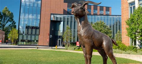 Pros and Cons of going to Florida Tech : r/floridatech