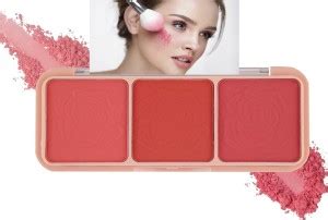 DARVING Color Blush Palette Highly Pigmented, Long-Lasting Powder Blush ...
