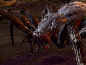 Lur Xanta - bg3.wiki