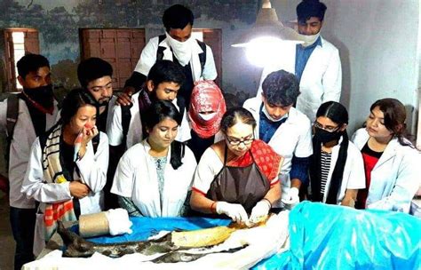 Bengal Homoeopathic Medical College And Hospital