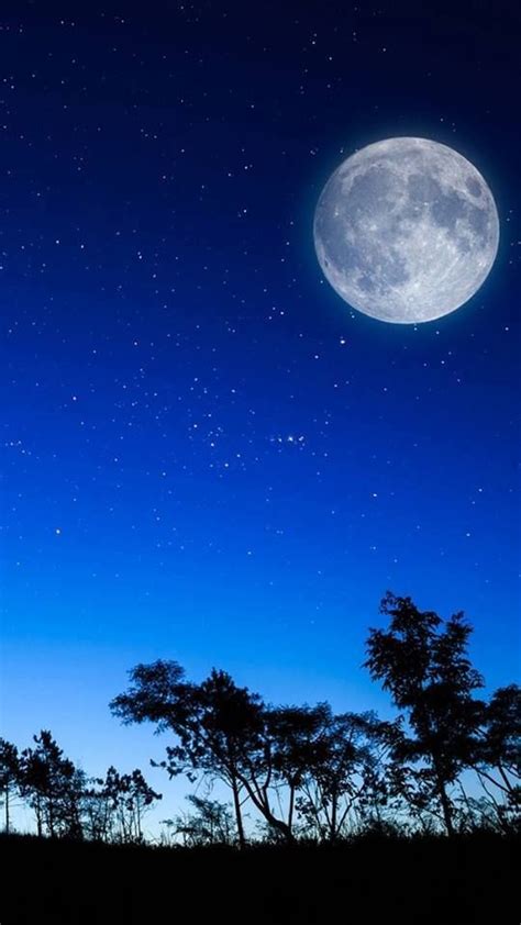 Image result for Moon Pool Tutorial Minecraft