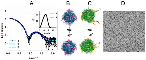 Structural Rearrangement of Dps-DNA Complex Caused by Divalent Mg and ...