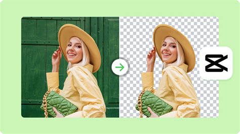 Example Clear Background 的图像结果