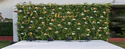 Tulsi Party Plot Borsad | Perfect Location for Marriage, Receptions ...