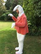Image result for White Rabbit Costume Ideas