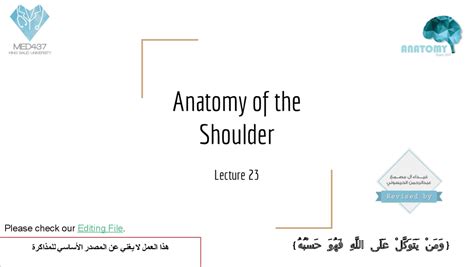 Image result for Shoulder Anatomy Animated Tutorial