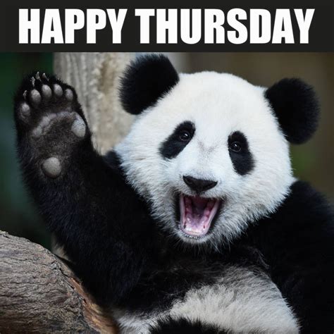 Happy Thursday Funny