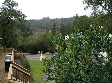 THOUSAND TRAILS RUSSIAN RIVER (Cloverdale) - Campground Reviews, Photos ...