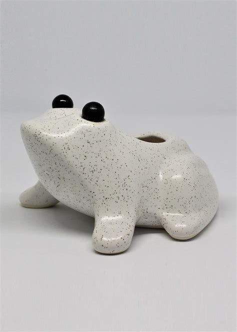 Get White Frog Planter at ₹ 350 | LBB Shop