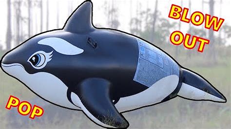 Image result for Popping a Inflatable Pool