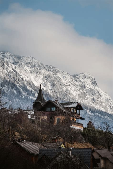 Pictures Of Mice Photos, Download The BEST Free Pictures Of Mice Stock ...